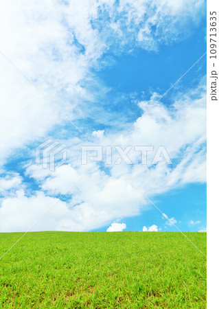 爽やかな夏の青空と新緑の草原風景 爽やかな夏の青空と新緑の草原風景 109713635