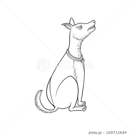 Thai style drawing dog Thai style drawing dog 109713684