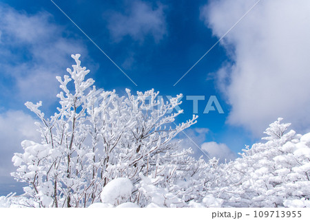 積雪と極寒の日本百名山、久住山　青と白のコントラスト 109713955