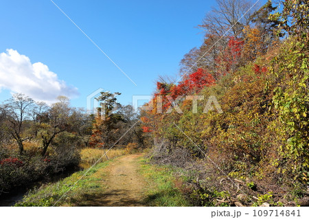 紅葉の裏磐梯　中瀬沼探勝路 109714841
