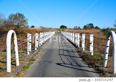 入間川にかかる出丸冠水橋 川島町 入間川にかかる出丸冠水橋 川島町 109715297