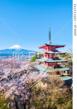 新倉山浅間公園（春） 109715743