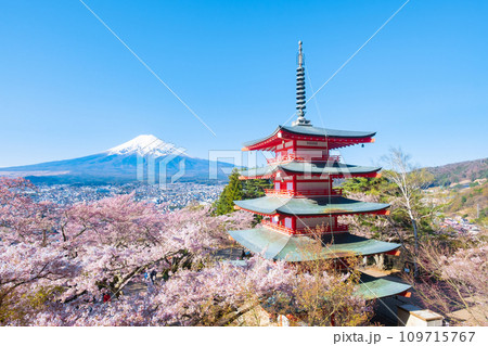 新倉山浅間公園（春） 109715767