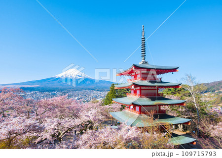 新倉山浅間公園（春） 109715793