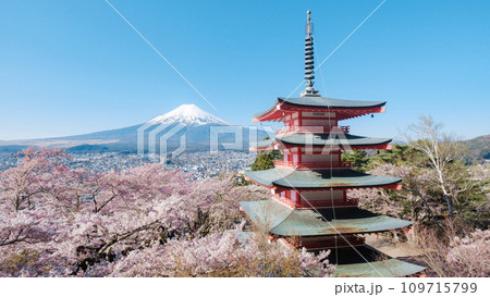 新倉山浅間公園(春) 新倉山浅間公園(春) 109715799