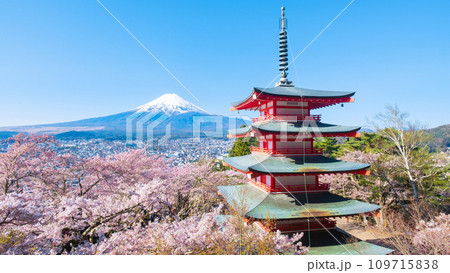 新倉山浅間公園（春） 109715838