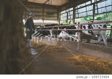 ranch 109715984