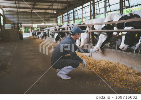 ranch 109716002