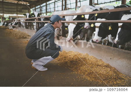ranch ranch 109716004