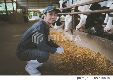 ranch ranch 109716010