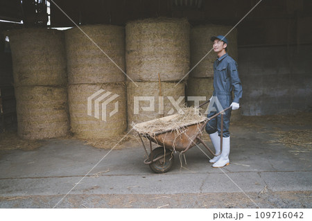 ranch ranch 109716042