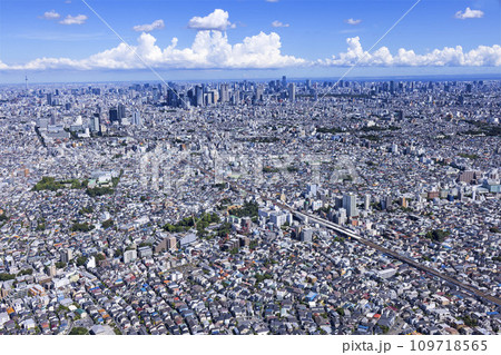 郊外の住宅地・阿佐ヶ谷上空より新宿副都心を望む・Aerial view 109718565
