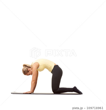 Woman, yoga and cat pose in studio for fitness, body workout or stretching exercise on mockup white background. Profile, healthy lady and bend back for strong core, spine extension or training on mat Woman, yoga and cat pose in studio for fitness, body workout or stretching exercise on mockup white background. Profile, healthy lady and bend back for strong core, spine extension or training on mat 109718961