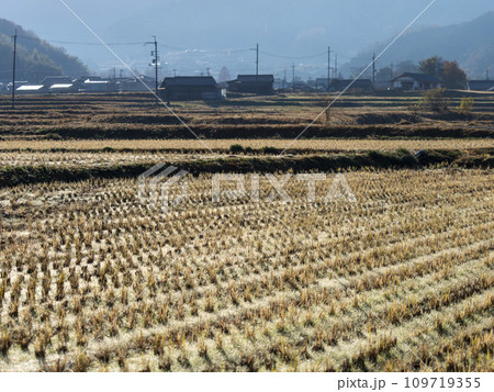 稲刈りが終わった明日香村の田園風景 稲刈りが終わった明日香村の田園風景 109719355