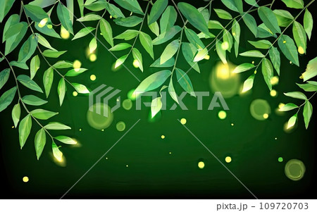 Greenery forest foliage with bokeh lights  109720703