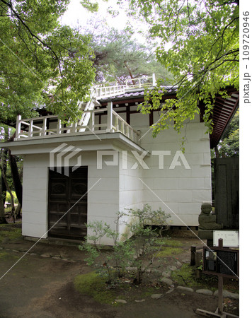 哲学堂公園の絶対城　東京都中野区松が丘 109720946