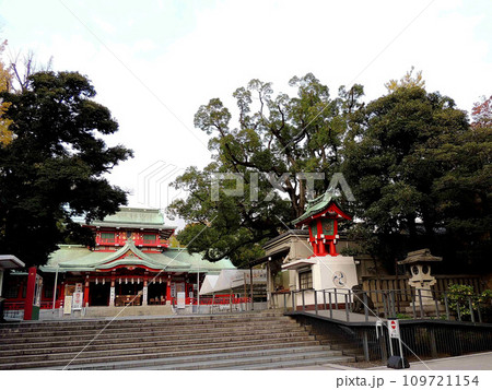 深川富岡八幡宮の酉の市 109721154