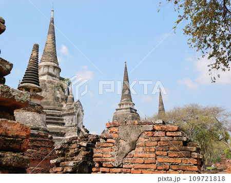 タイ　アユタヤ　ワット・プラ・シー・サンペット 109721818