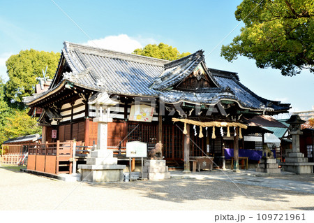 百舌鳥八幡宮(社殿・拝殿)　【大阪府堺市】 109721961