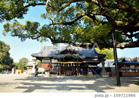 百舌鳥八幡宮(社殿・拝殿)　【大阪府堺市】 109721966