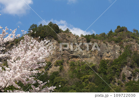 春の遠見山 岐阜県川辺町 春の遠見山 岐阜県川辺町 109722030