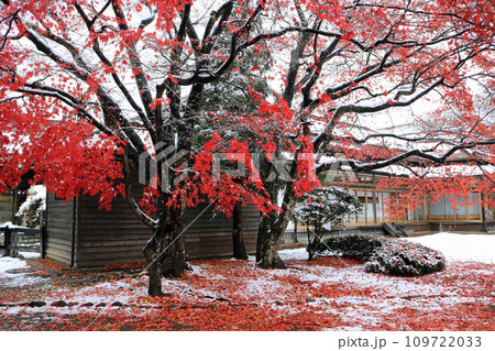 紅葉と雪が同居する旧南部氏別邸庭園 紅葉と雪が同居する旧南部氏別邸庭園 109722033