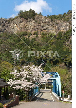 春の遠見山と飛騨川橋 岐阜県川辺町 春の遠見山と飛騨川橋 岐阜県川辺町 109722035