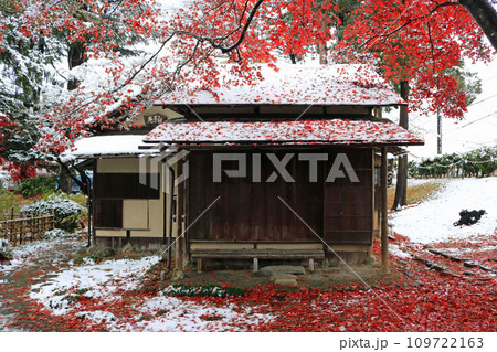 紅葉と雪が同居する旧南部氏別邸庭園 紅葉と雪が同居する旧南部氏別邸庭園 109722163