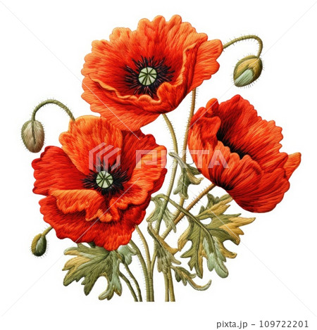 Embroidery colorful floral pattern with poppy flowers. Embroidery colorful floral pattern with poppy flowers. 109722201