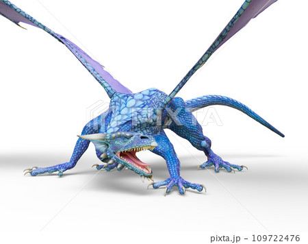 ドラゴン 109722476