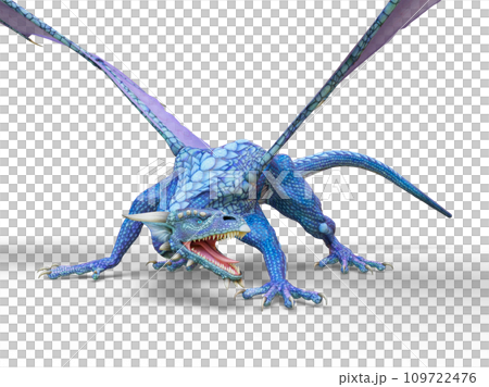 ドラゴン 109722476