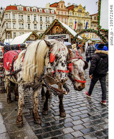 プラハ旧市街地広場のクリスマスマーケット 109722646