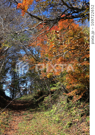 紅葉の裏磐梯 中瀬沼探勝路 タテ位置 紅葉の裏磐梯 中瀬沼探勝路 タテ位置 109722652