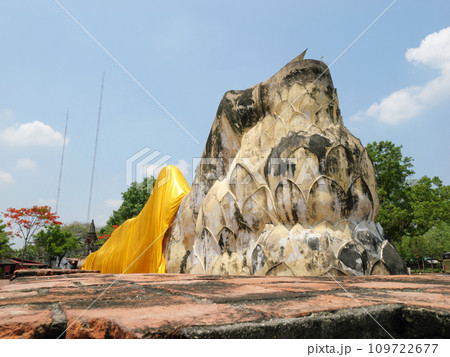 タイ　アユタヤ　ワット・ロカヤスタ　5月の晴れの日 109722677