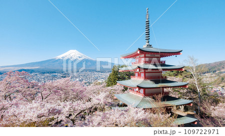 新倉山浅間公園（春） 109722971