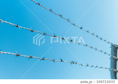 青空と有刺鉄線 109723035