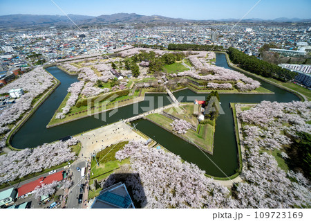 五稜郭タワーから望む満開の桜と五稜郭公園 五稜郭タワーから望む満開の桜と五稜郭公園 109723169
