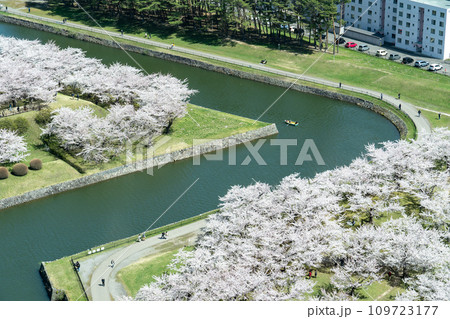 五稜郭タワーから眺める満開の桜とお堀を泳ぐボートの風景 五稜郭タワーから眺める満開の桜とお堀を泳ぐボートの風景 109723177