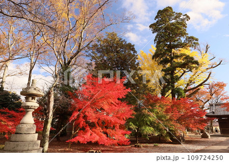 滋賀県 湖北 渡岸寺の紅葉 滋賀県 湖北 渡岸寺の紅葉 109724250