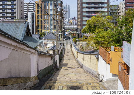 春の大阪 桜の花と源聖寺坂(天王寺七坂) 春の大阪 桜の花と源聖寺坂(天王寺七坂) 109724308