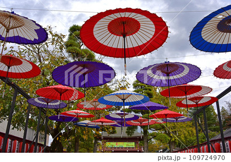 茨城県　笠間市　菊まつり 109724970