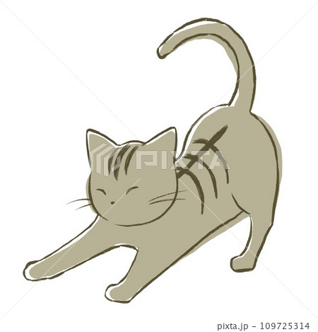 伸びをする猫 109725314