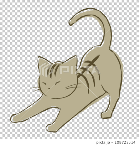 伸びをする猫 109725314