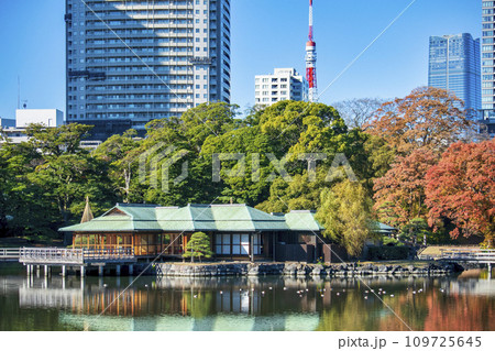 東京都　浜離宮恩賜庭園　中島の御茶屋　紅葉と潮入りの池 109725645