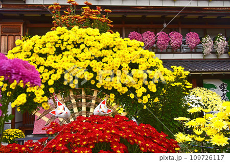 茨城県　笠間市　菊まつり 109726117