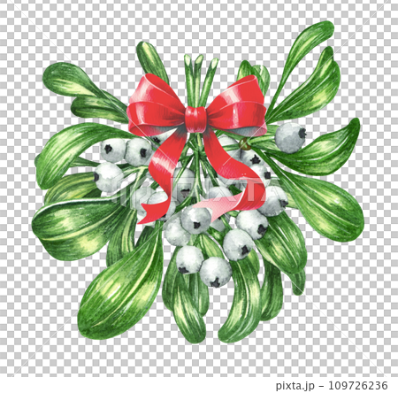 Watercolor Floral Mistletoe twig with a bow. Christmas wreath traditional decoration 109726236