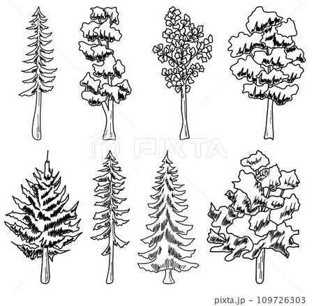 forest Tree line. set of graphics trees elements outline symbol for architecture and landscape design drawing. 109726303
