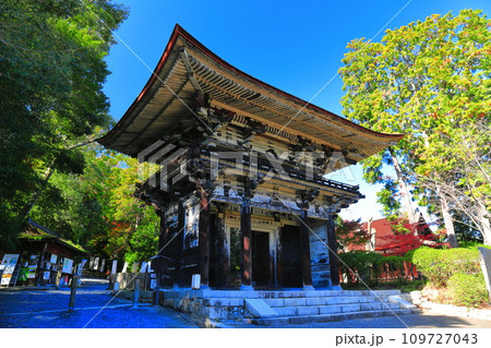 【滋賀県】晴天の三井寺(園城寺)の仁王門 【滋賀県】晴天の三井寺(園城寺)の仁王門 109727043
