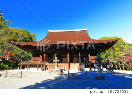 【滋賀県】快晴の三井寺（園城寺）の金堂 109727052