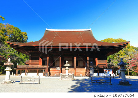 【滋賀県】快晴の三井寺(園城寺)の金堂 【滋賀県】快晴の三井寺(園城寺)の金堂 109727054